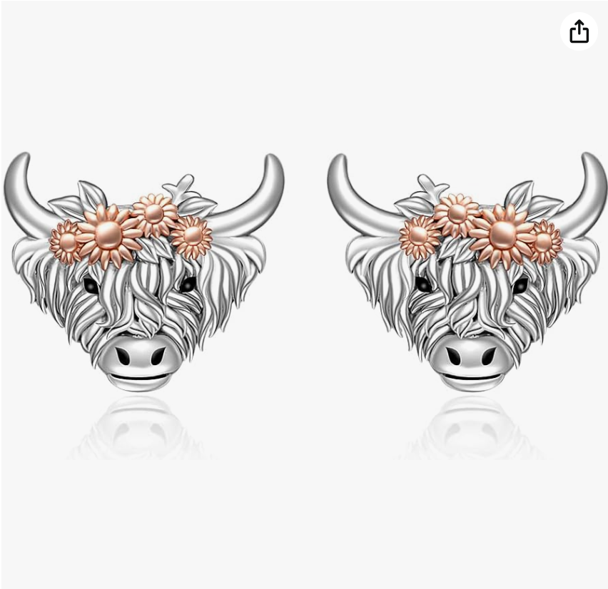 Cute Horse Heart Love Earrings Horse Cowgirl Jewelry Birthday Gift 925 Sterling Silver