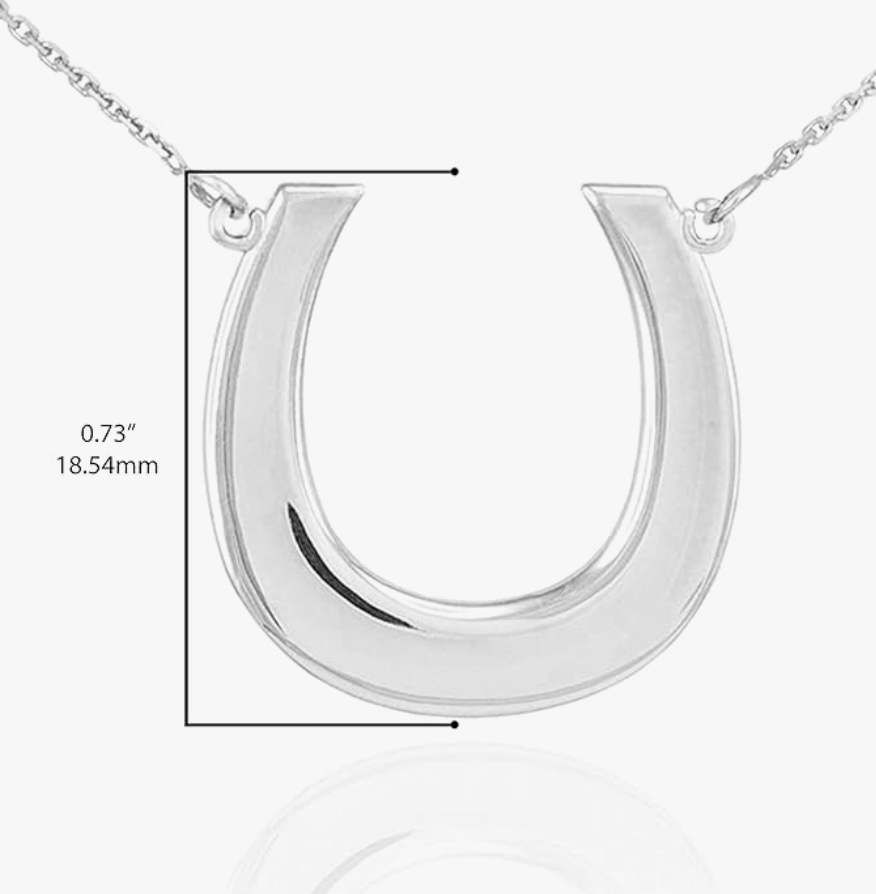 925 Sterling Silver Small Dainty Lucky Horseshoe Necklace Pendant Cowgirl Chain Jewelry Birthday Gift 18-22in.