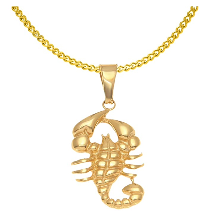 Scorpio Necklace Scorpion Jewelry Zodiac Pendant Chain Birthday Gift Gold Color 24in.