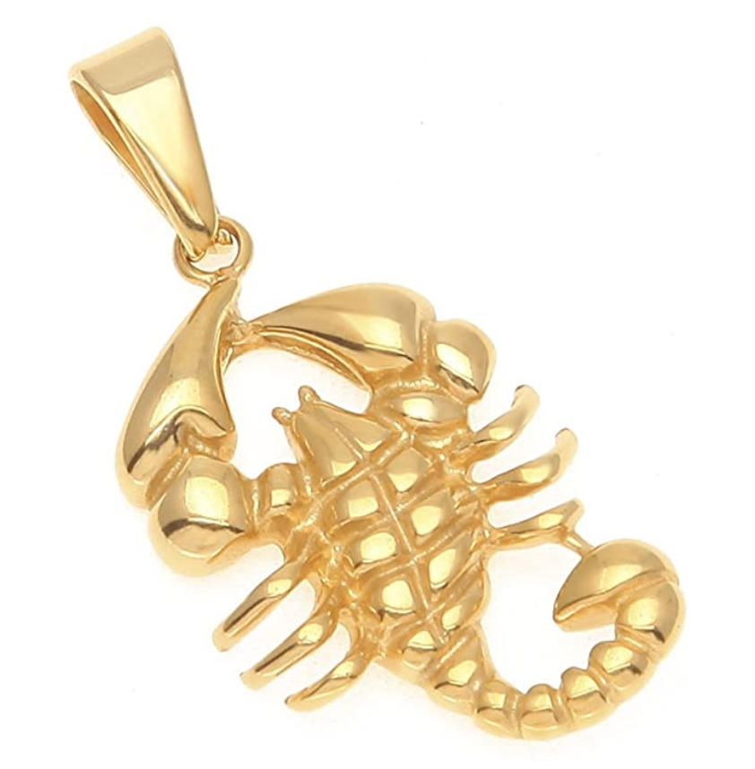 Scorpio Necklace Scorpion Jewelry Zodiac Pendant Chain Birthday Gift Gold Color 24in.