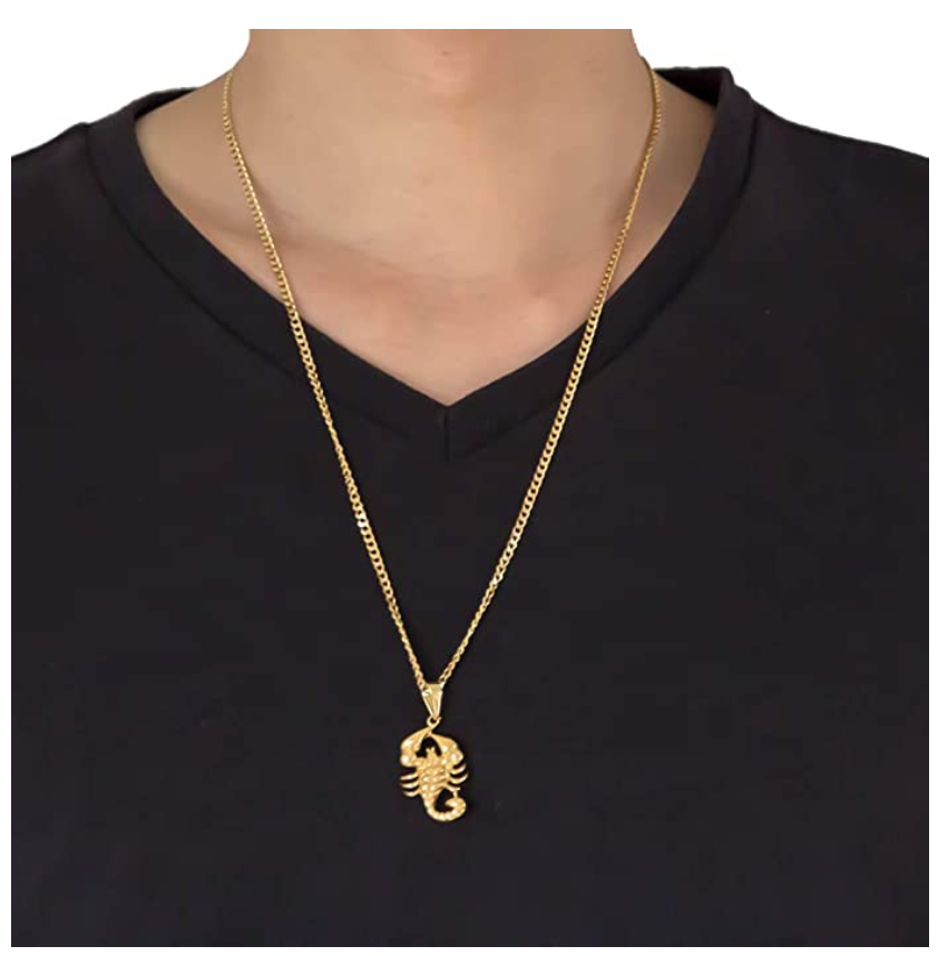 Scorpio Necklace Scorpion Jewelry Zodiac Pendant Chain Birthday Gift Gold Color 24in.