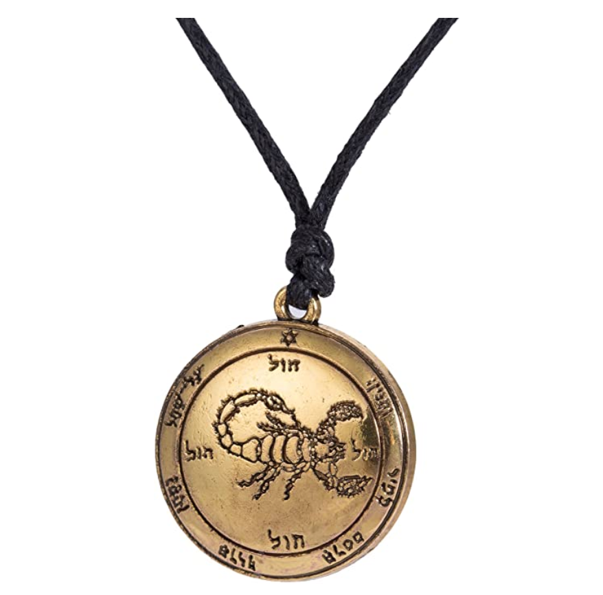 Scorpion Medallion Necklace Scorpio Jewelry Zodiac Pendant Chain Birthday Gift Silver Gold Color 22in.