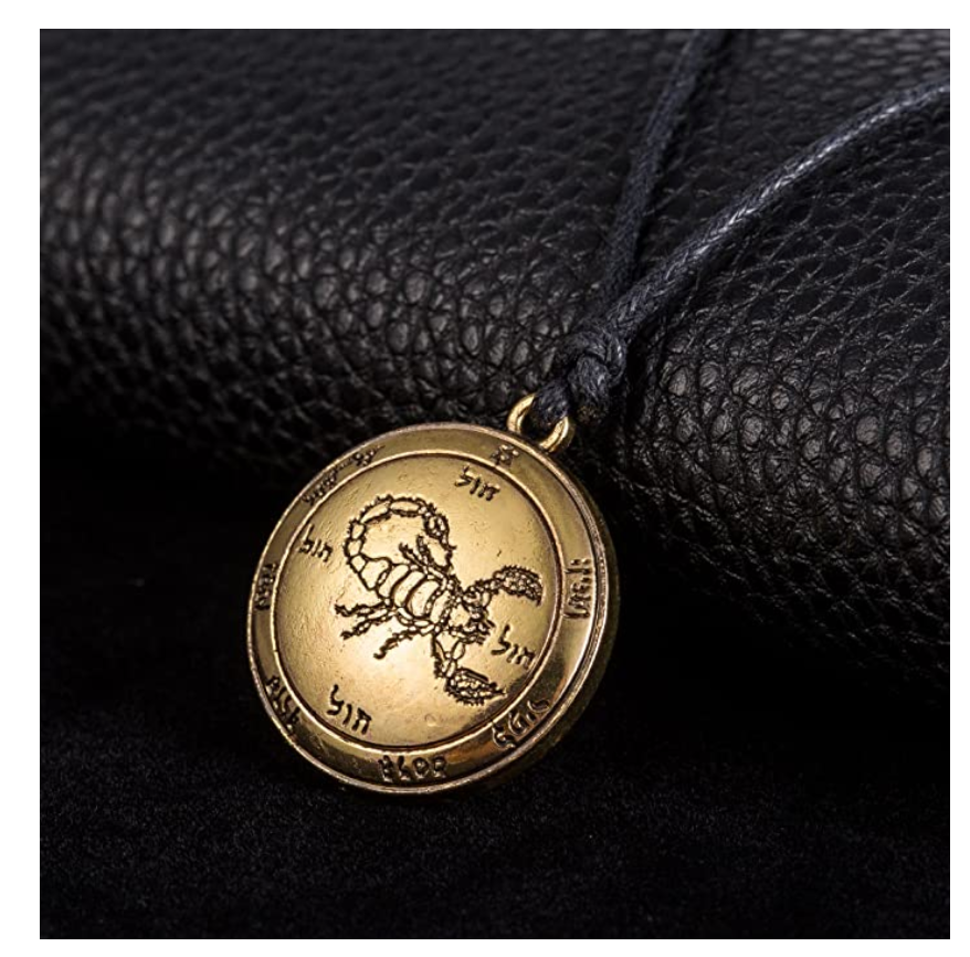 Scorpion Medallion Necklace Scorpio Jewelry Zodiac Pendant Chain Birthday Gift Silver Gold Color 22in.