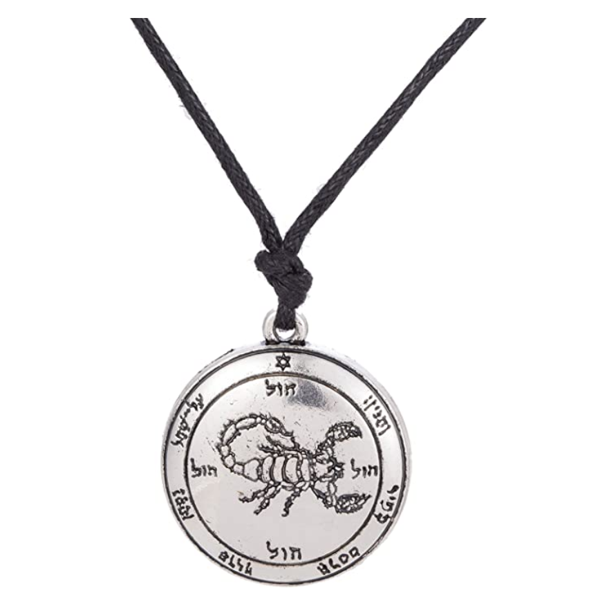 Scorpion Medallion Necklace Scorpio Jewelry Zodiac Pendant Chain Birthday Gift Silver Gold Color 22in.