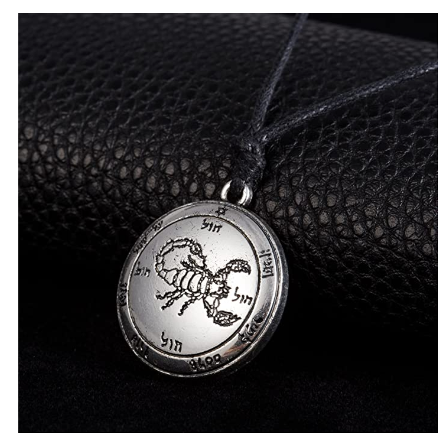 Scorpion Medallion Necklace Scorpio Jewelry Zodiac Pendant Chain Birthday Gift Silver Gold Color 22in.