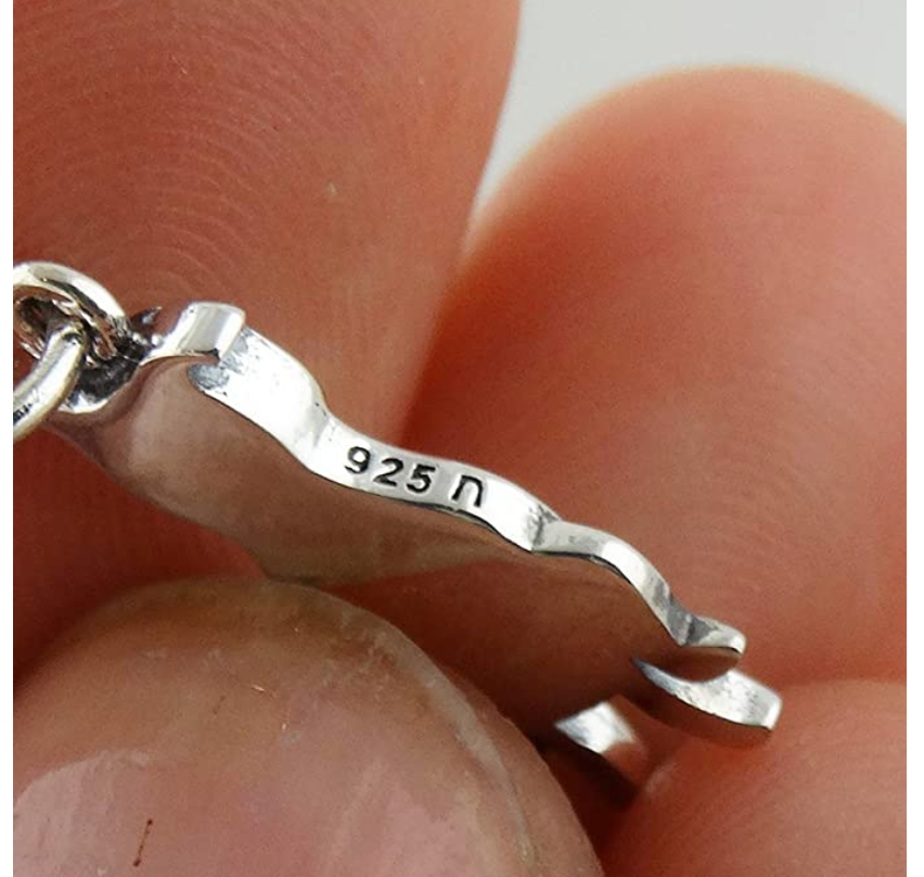 Small Pitbull Dog Necklace Doggy Puppy Jewelry Dog Chain Pitbull Pendant Birthday Gift 925 Sterling Silver 18in.