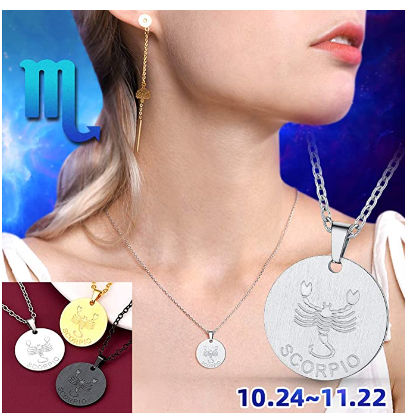 Circle Scorpio Necklace Medallion Pendant Scorpion Chain Zodiac Astrology Chain Jewelry Scorpio Birthday Gift 22in.