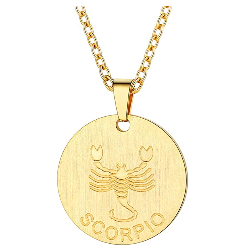Circle Scorpio Necklace Medallion Pendant Scorpion Chain Zodiac Astrology Chain Jewelry Scorpio Birthday Gift 22in.