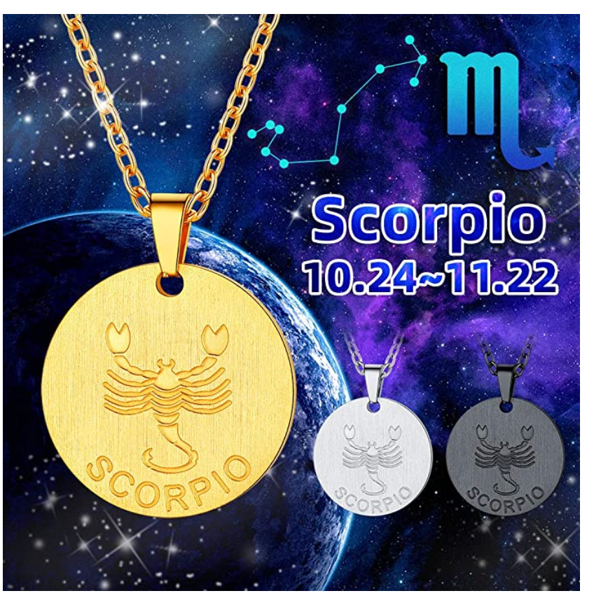 Circle Scorpio Necklace Medallion Pendant Scorpion Chain Zodiac Astrology Chain Jewelry Scorpio Birthday Gift 22in.