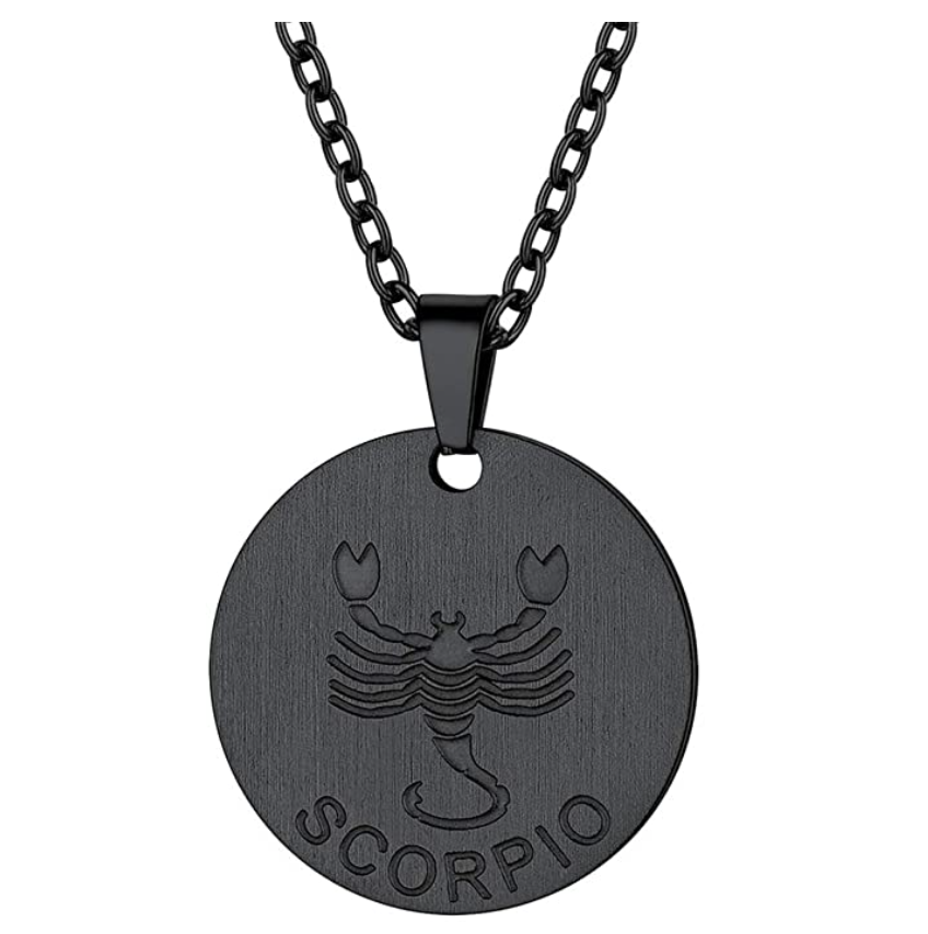 Circle Scorpio Necklace Medallion Pendant Scorpion Chain Zodiac Astrology Chain Jewelry Scorpio Birthday Gift 22in.