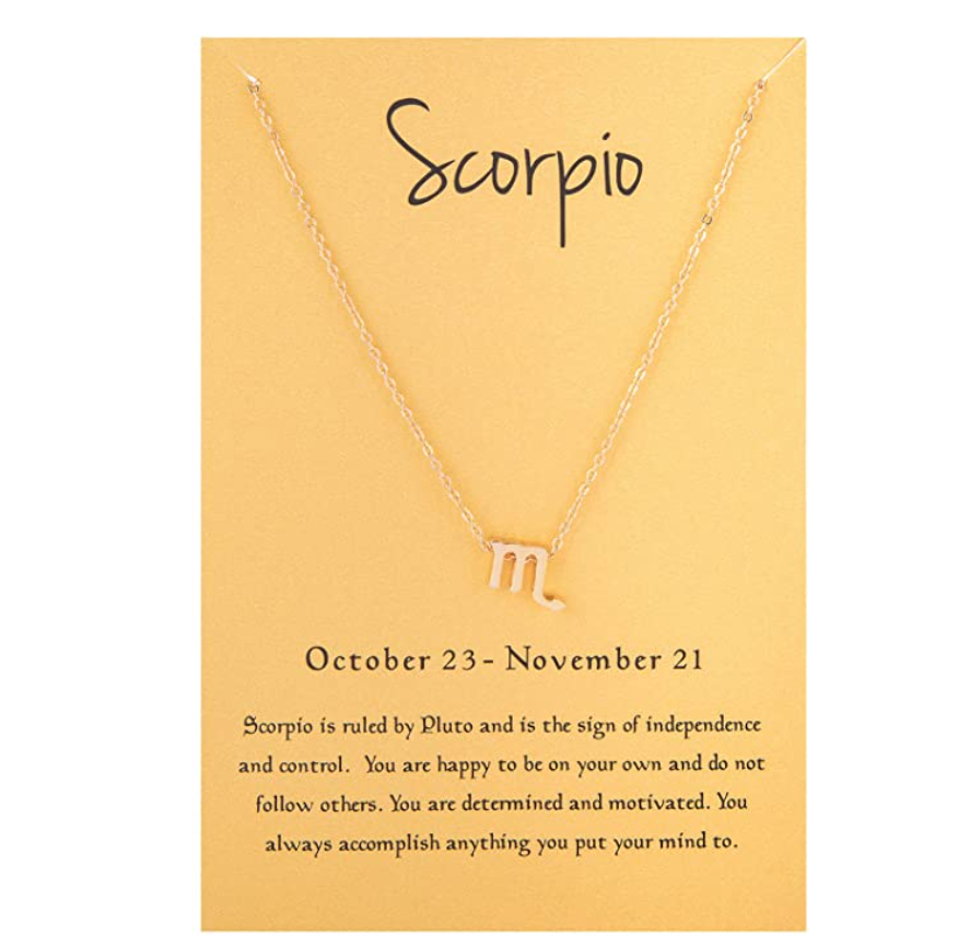 Scorpio Zodiac Sign Necklace Pendant Scorpion Chain Astrology Chain Jewelry Scorpio Birthday Gift 18in.