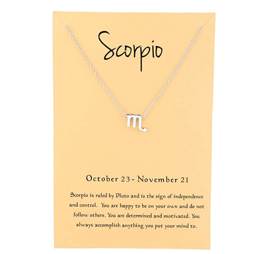 Scorpio Zodiac Sign Necklace Pendant Scorpion Chain Astrology Chain Jewelry Scorpio Birthday Gift 18in.