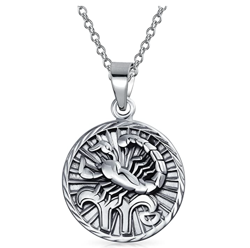 Scorpion Medallion Necklace Pendant Scorpion Chain Zodiac Astrology Chain Jewelry Scorpio Birthday Gift 18in.