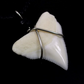 Fossil Bone Natural Mako Shark Tooth Pendant Beaded Rope Cord Hawaiian Necklace Lucky Shark Tooth Charm Chain Birthday Gift 18 - 32in.