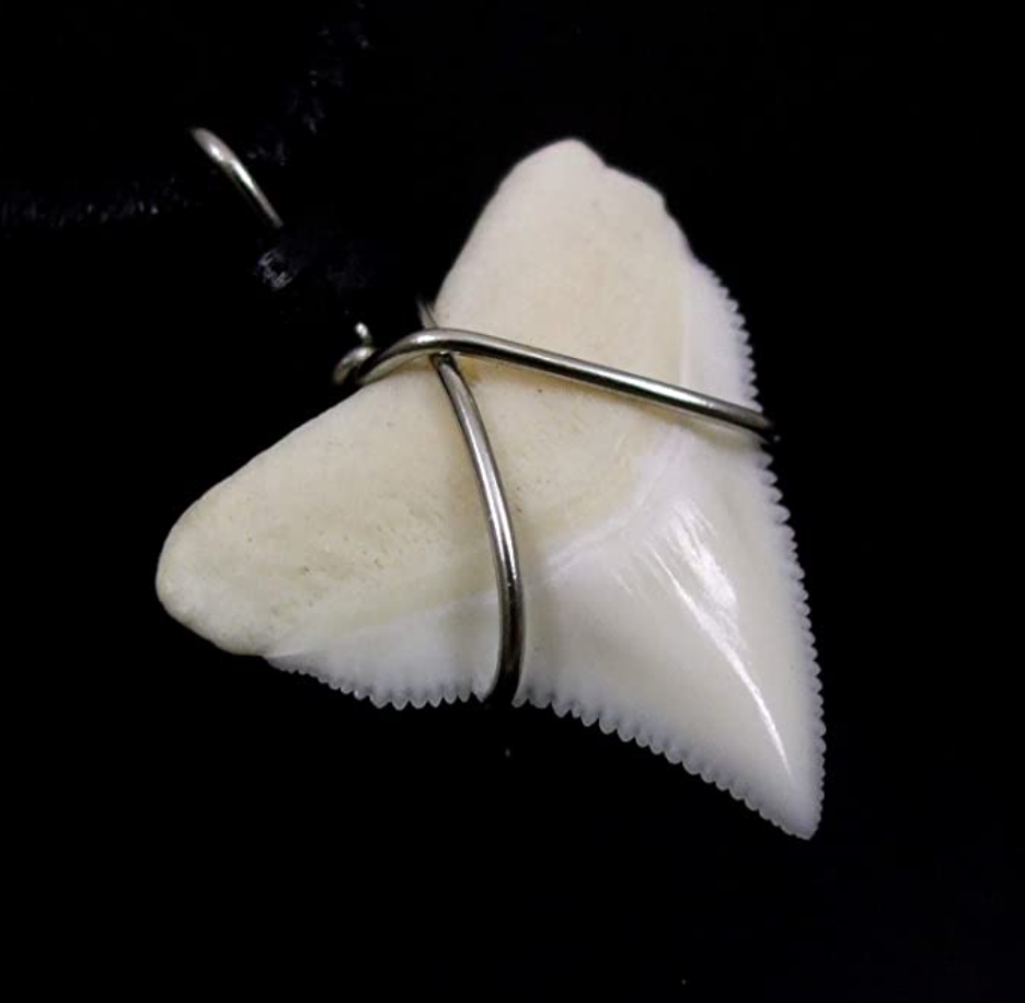 Fossil Bone Natural Mako Shark Tooth Pendant Beaded Rope Cord Hawaiian Necklace Lucky Shark Tooth Charm Chain Birthday Gift 18 - 32in.