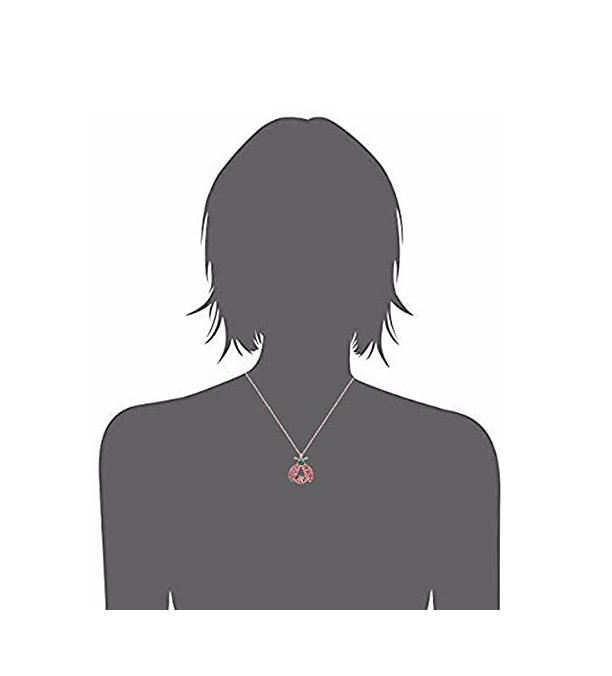Copy of Ladybug Memorial Necklace Pendant Ashes Locket Cremation Ladybug Jewelry Lucky Chain Birthday Gift Stainless Steel 20in.