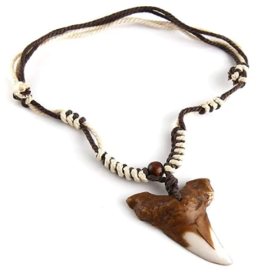 Shark Tooth Jewelry