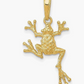 14K Gold Frog Pendant Toad Jewelry Mens Womens Girls Teen Birthday Gift 14K Solid Gold