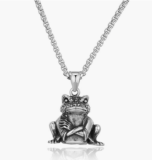 Men's Stainless Steel Lucky Frog Necklace Pendant Toad Jewelry Womens Girls Teen Birthday Gift Silver 24in.