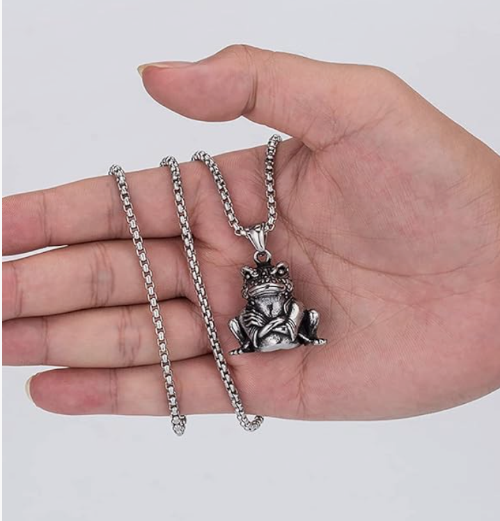 Men's Stainless Steel Lucky Frog Necklace Pendant Toad Jewelry Womens Girls Teen Birthday Gift Silver 24in.