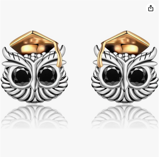 Owl Earrings Wise Owl Graduation Jewelry Sailor Anchor Owl Girl Teens Women Birthday Gift 925 Sterling Silver Earrings