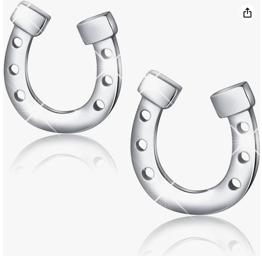 Lucky Horseshoe Earrings Horse Farmer Cowgirl Jewelry Birthday Gift 925 Sterling Silver