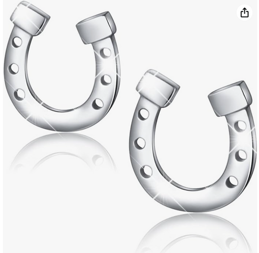 Lucky Horseshoe Earrings Horse Farmer Cowgirl Jewelry Birthday Gift 925 Sterling Silver