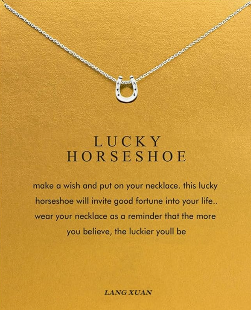 Small Dainty Lucky Horseshoe Necklace Pendant Cowgirl Chain Jewelry Birthday Gift Stainless Steel 20in.