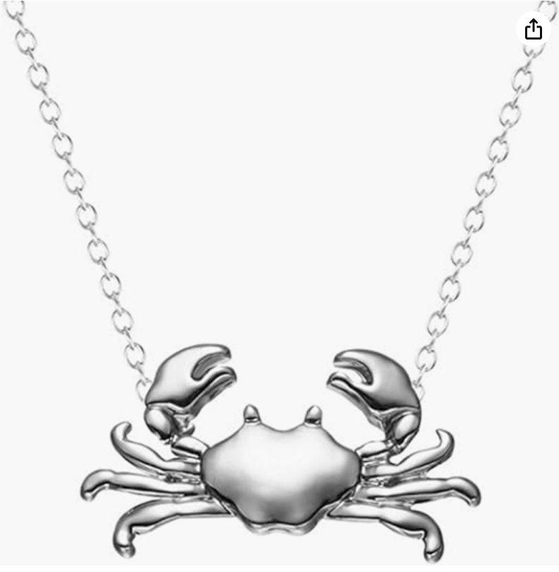 Silver Crab Pendant Necklace Sea Crab Jewelry Beach Brown Amber Crab Chain Birthday Gift 18in.