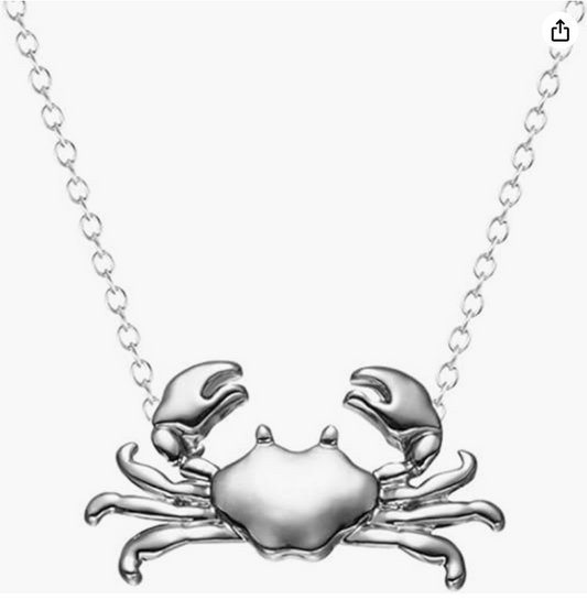 Silver Crab Pendant Necklace Sea Crab Jewelry Beach Brown Amber Crab Chain Birthday Gift 18in.