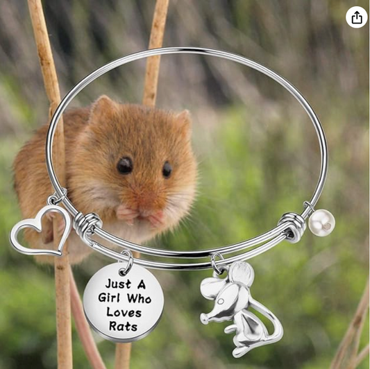 Funny Mouse Bangle Bracelet Love Heart Rat Jewelry Girls Teen Birthday Gift Stainless Steel Adjustable