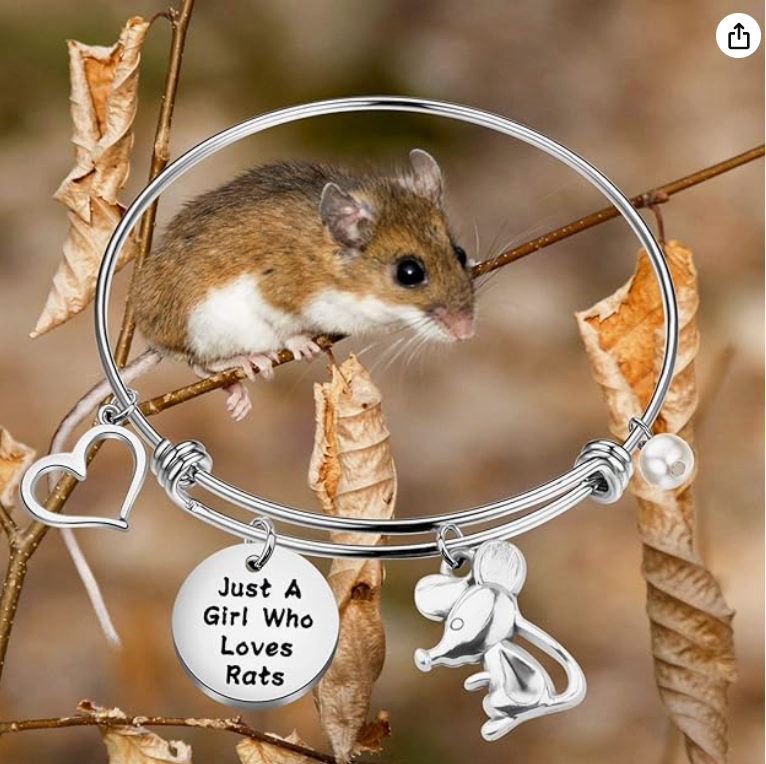 Funny Mouse Bangle Bracelet Love Heart Rat Jewelry Girls Teen Birthday Gift Stainless Steel Adjustable