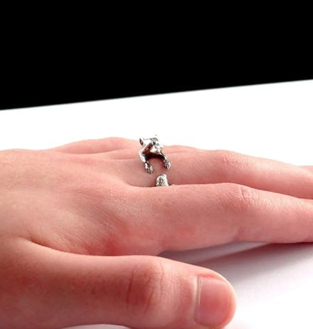 Cute Vintage Raccoon Ring Raccoon Jewelry Girls Teen Birthday Gift