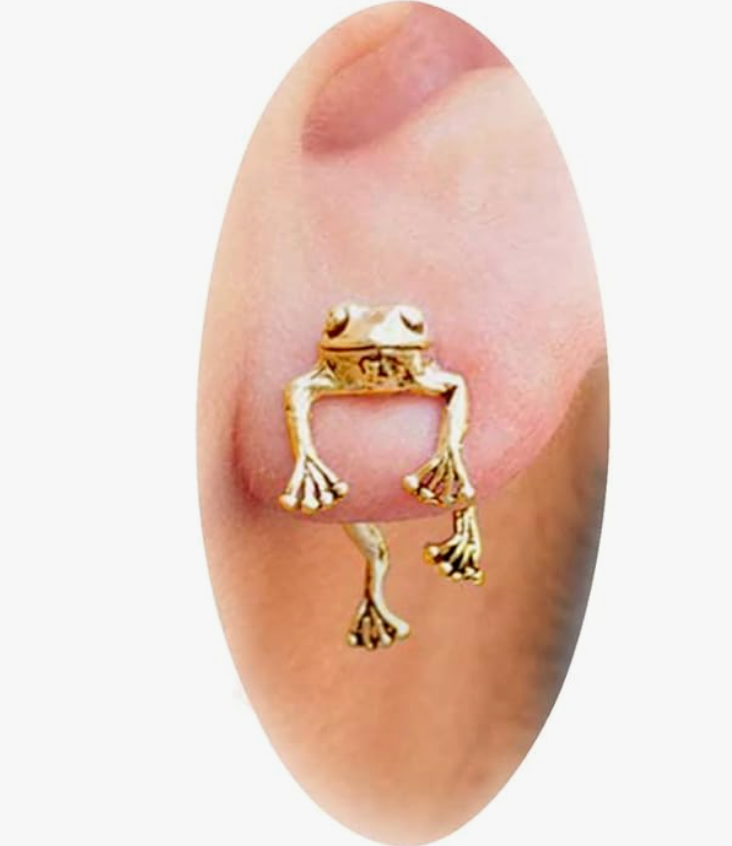 Gold Frog Earring Frog Hanging Jewelry Birthday Gift Silver Stainless Steel