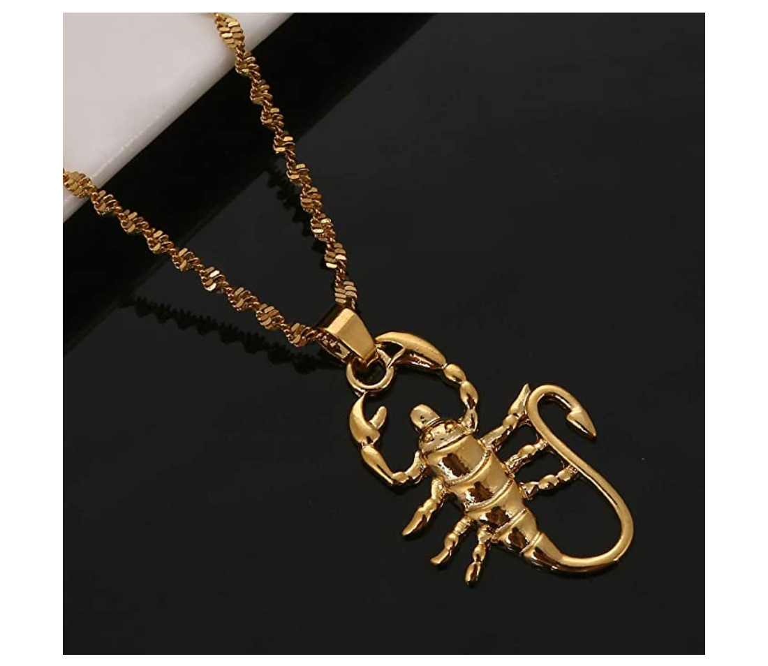 Scorpion Pendant Necklace Scorpio Jewelry Zodiac Chain Birthday Gift Silver Gold Color 20in.