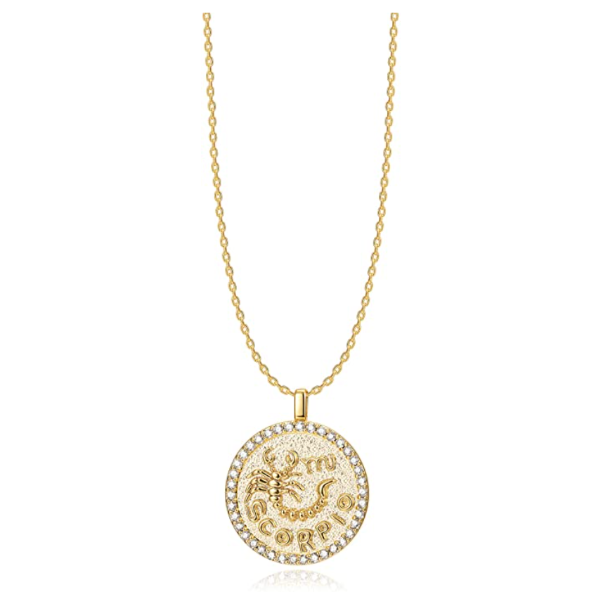Round Scorpion Medallion Necklace Pendant Scorpion Chain Zodiac Astrology Chain Jewelry Scorpio Birthday Gift 18in.