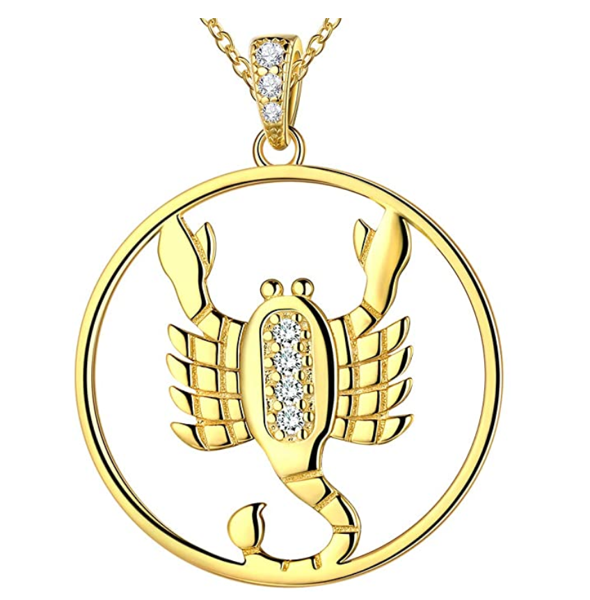 Scorpion Medallion Zodiac Necklace Pendant Scorpion Chain Astrology Chain Jewelry Scorpio Birthday Gift 925 Sterling Silver 20in.