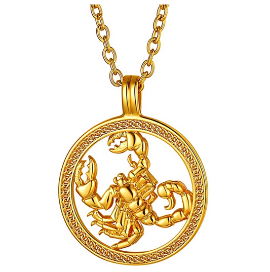 Round Scorpio Necklace Medallion Pendant Scorpion Chain Zodiac Astrology Chain Jewelry Scorpio Birthday Gift 20in.