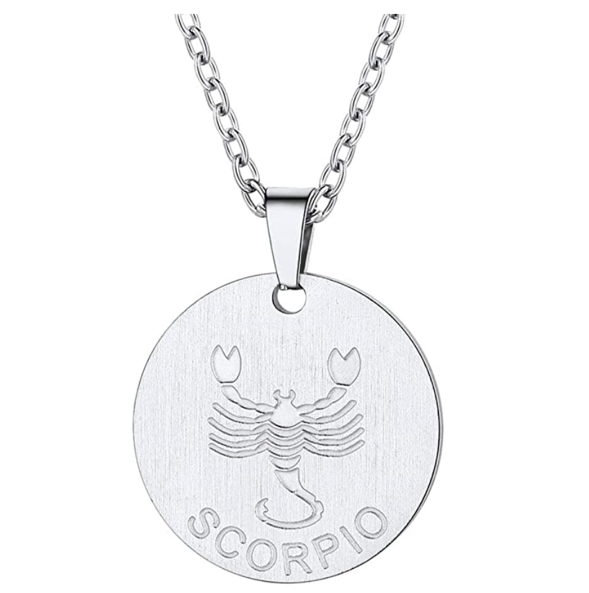 Circle Scorpio Necklace Medallion Pendant Scorpion Chain Zodiac Astrology Chain Jewelry Scorpio Birthday Gift 22in.