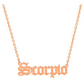 Scorpio Name Chain Jewelry Scorpio Necklace Pendant Scorpion Chain Zodiac Astrology Birthday Gift 18in.