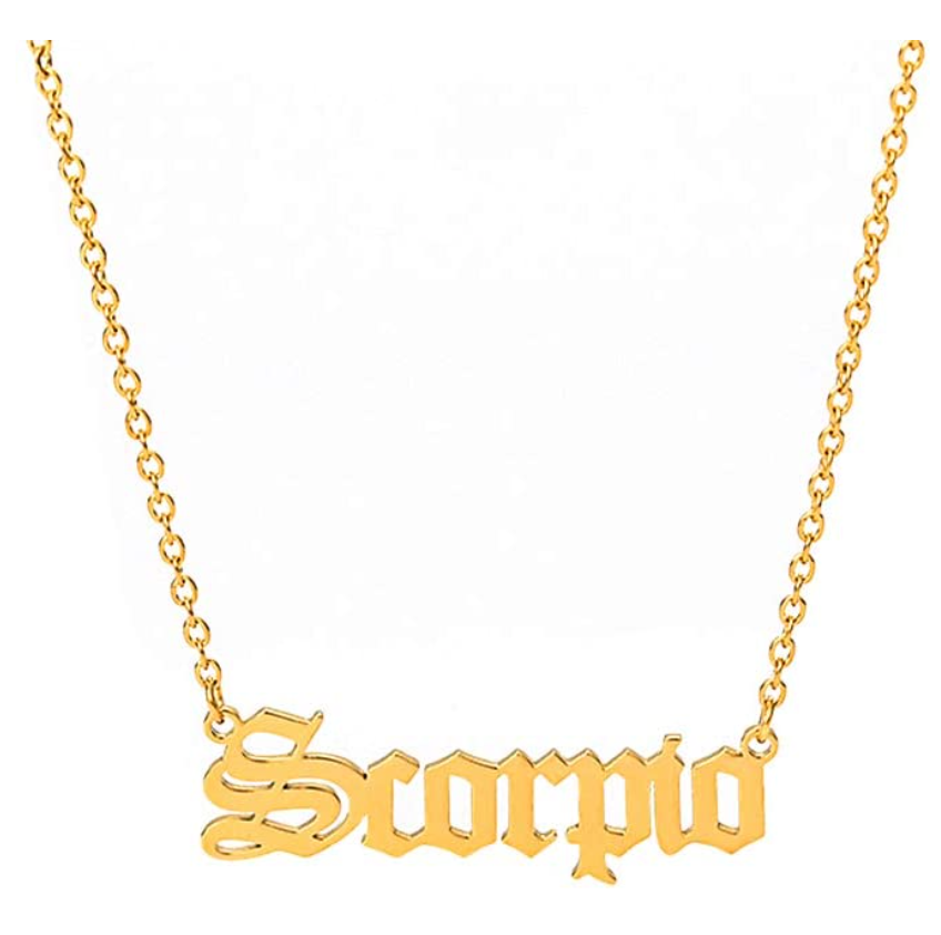 Scorpio Name Chain Jewelry Scorpio Necklace Pendant Scorpion Chain Zodiac Astrology Birthday Gift 18in.