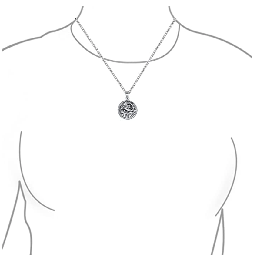 Scorpion Medallion Necklace Pendant Scorpion Chain Zodiac Astrology Chain Jewelry Scorpio Birthday Gift 18in.
