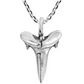 925 Sterling Silver Shark Tooth Pendant Necklace Shark Tooth Charm Chain Birthday Gift 18in.