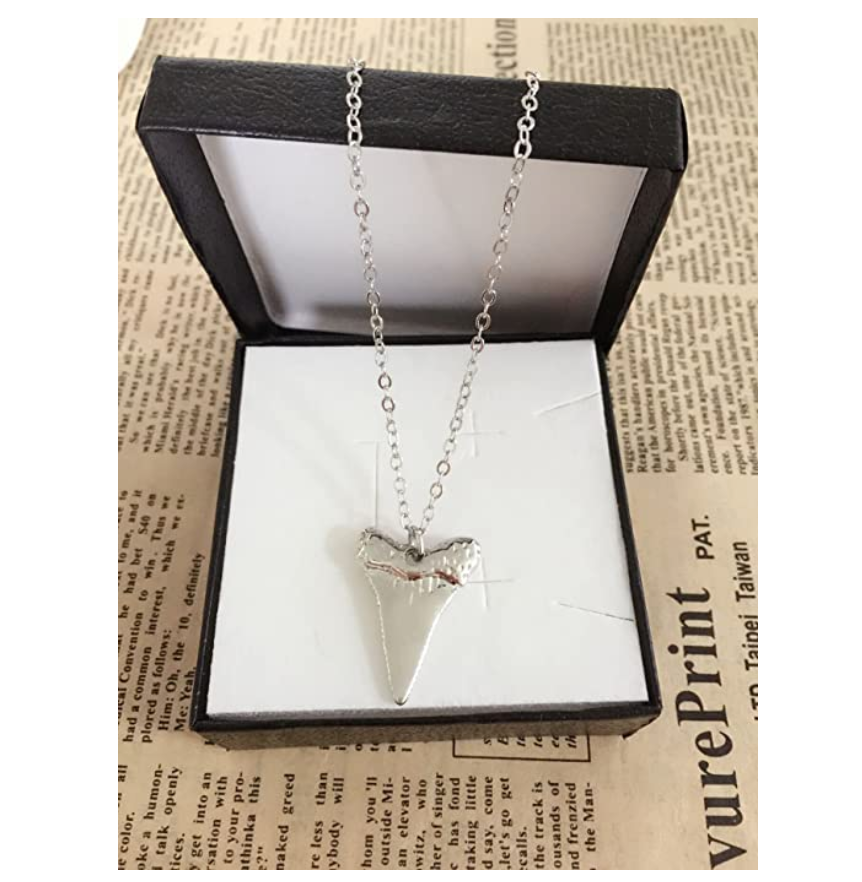 Silver Shark Tooth Pendant Druzy Necklace Shark Tooth Charm Chain Birthday Gift 20in.