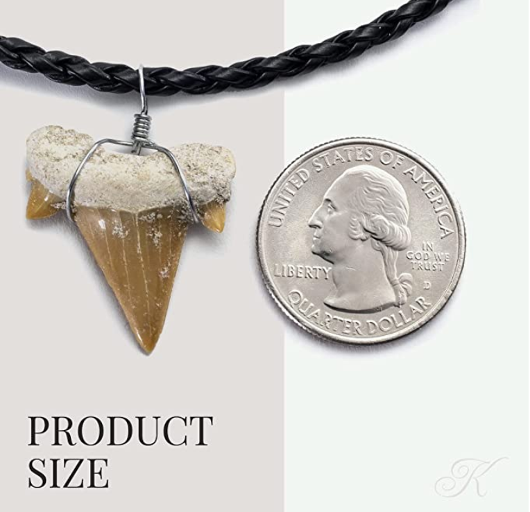 Authentic Prehistoric Fossil Bone Natural Shark Tooth Pendant Beaded Rope Cord Hawaiian Necklace Lucky Shark Tooth Charm Chain Birthday Gift 18 - 22in.