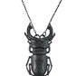 Black Beetle Necklace Beetle Pendant Beetle Jewelry African Egyptian Scarab Birthday Gift 24in.