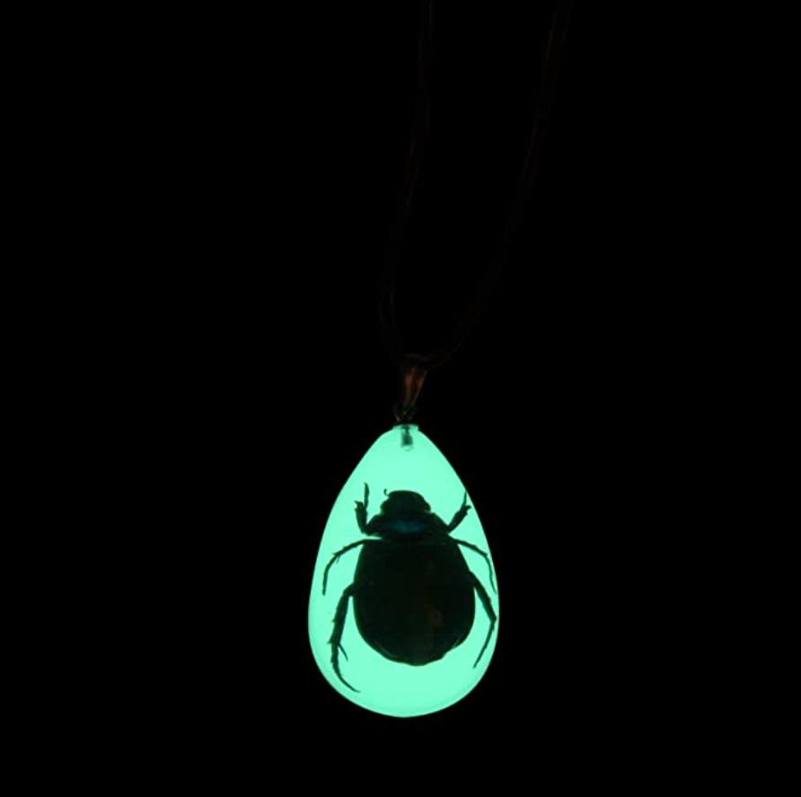 Real Beetle Bug Necklace Beatle Pendant Glow in the Dark Beetle Jewelry Birthday Gift Chain 18in.
