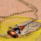 Orange Amber Antique Style Beetle Bug Necklace Fly Vintage Cicada Beatle Pendant Beetle Jewelry Birthday Gift Chain 20in.