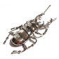 Big Beetle Bug Necklace Beatle Pendant Beetle Jewelry African Egyptian Birthday Gift Chain