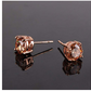 6mm Rose Gold Solitaire Diamond Stud Earring Round Stud Circle Cut Womens Stainless Steel Earring